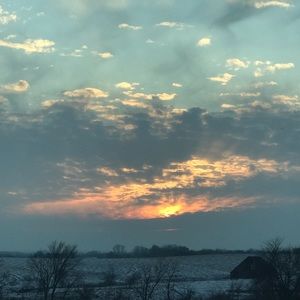 Meet your Posher, Tasha